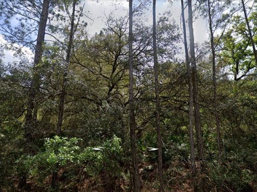 Perfect Paradise Lake Double Lot : Georgetown : Putnam County : Florida