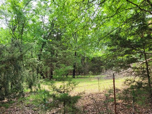 Wooded 6 Acres in Clarksville : Clarksville : Red River County : Texas