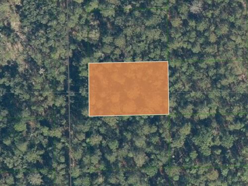 Lovely Wooded Lot in Florahome : Florahome : Putnam County : Florida
