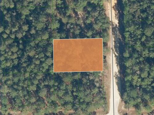Beautiful Lot Minutes From Lake : Florahome : Putnam County : Florida