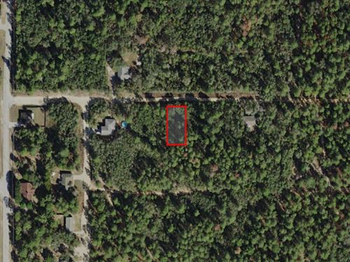 Wooded Lot in Neighborhood : Inverness : Putnam County : Florida