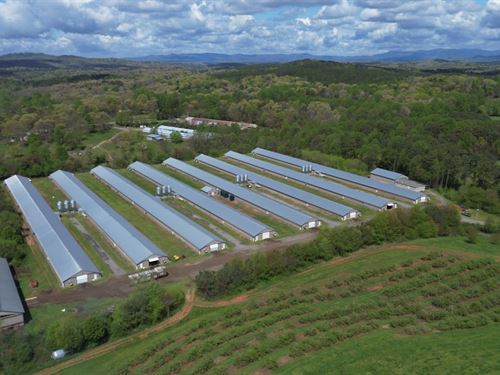 8 Houses Broiler Poultry Farm : Ellijay : Gilmer County : Georgia