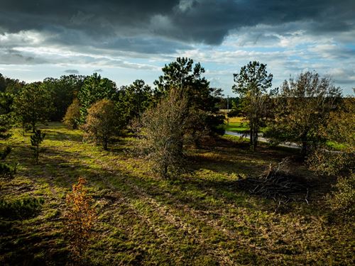 1.26 Acres in Liberty County, Texas : Dayton : Liberty County : Texas