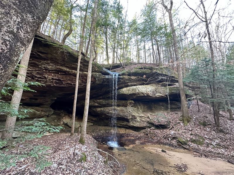 Falls Bluff : Double Springs : Winston County : Alabama