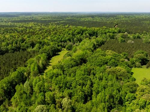 Flint Branch Tract : Talbotton : Talbot County : Georgia