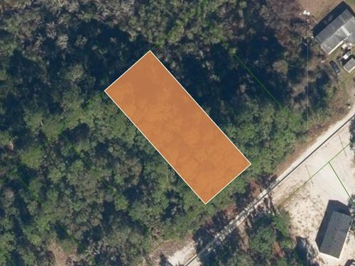 .40 Acre Lot Near Lake George : Georgetown : Putnam County : Florida