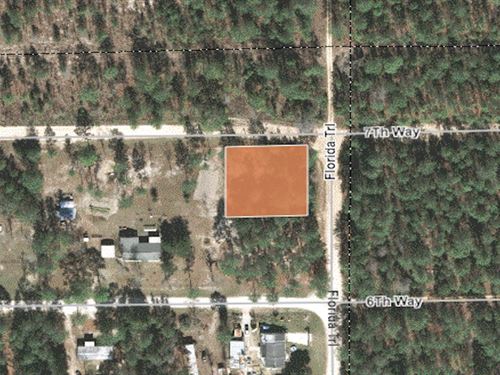 Wooded Homesite in Interlachen : Interlachen : Putnam County : Florida