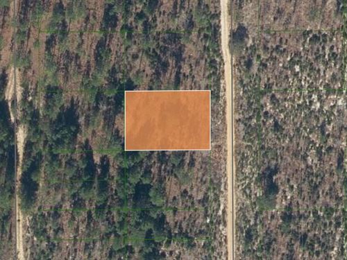 Peaceful Lot in Lake Lucy Manor : Interlachen : Putnam County : Florida