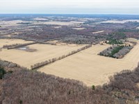 237.39 Acres Eau Claire County : Elk Mound : Eau Claire County : Wisconsin
