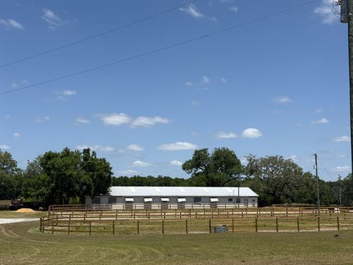 Tiffany Farm 108+ Acres : Ocala : Marion County : Florida
