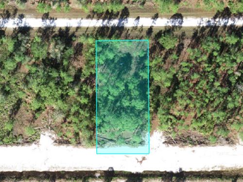 Half Acre in Private Golf Community : Indian Lake Estates : Polk County : Florida
