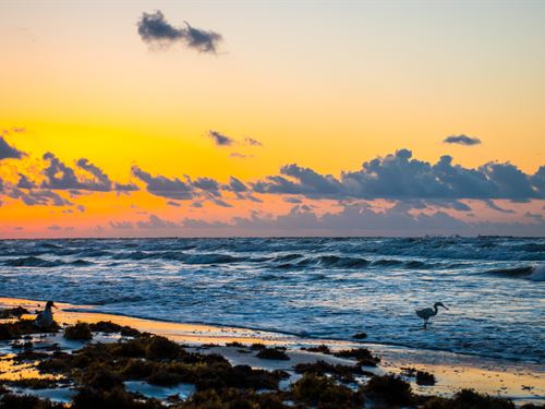 Recreational Property, Only $199/Mo : Magnolia : Calhoun County : Texas