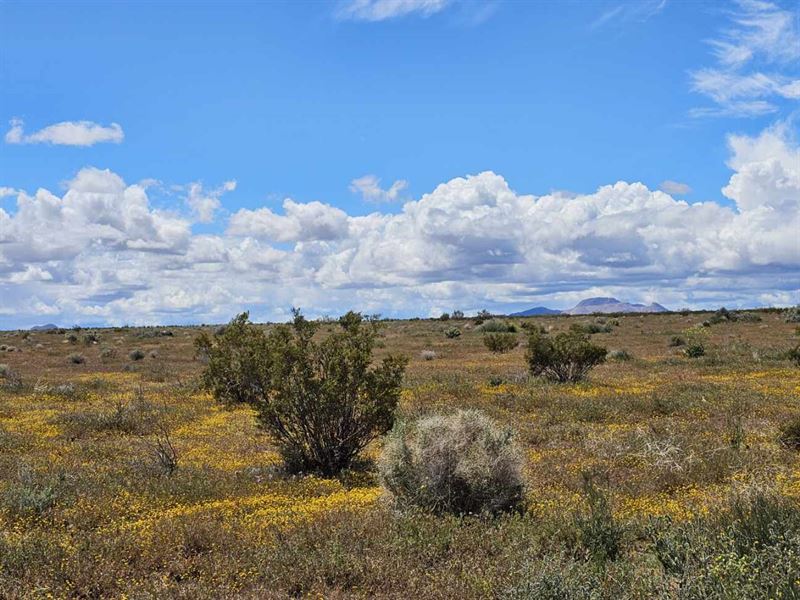 Cal City Investment, $5,999/$199 MO : California City : Kern County : California