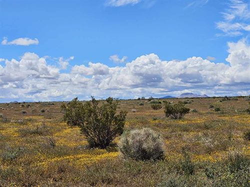 Cal City Investment, $5,745/$199 MO : California City : Kern County : California