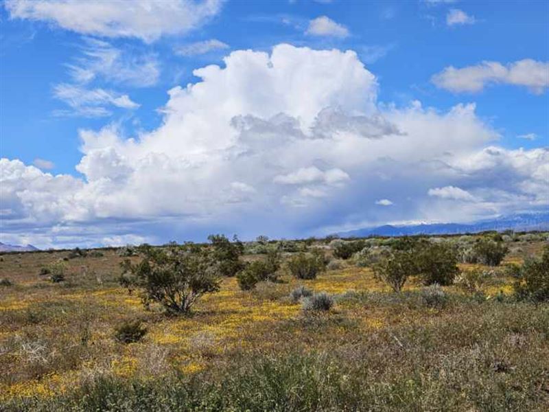 3 Parcels Located in Socal : California City : Kern County : California