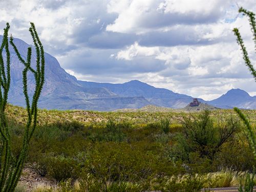 4 Adjoining Parcels, $199 Per Month : California City : Kern County : California