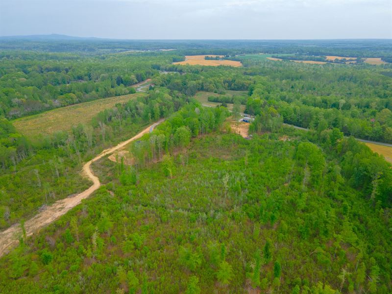 5 Acres in Orange County VA : Orange : Orange County : Virginia
