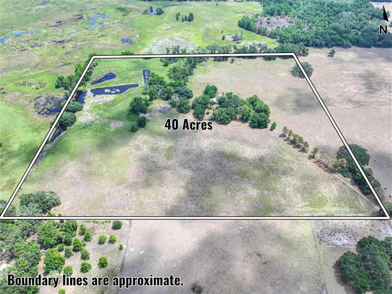 Se 57th Rd, 40 Acres, Sumter Coun : Center Hill : Sumter County : Florida