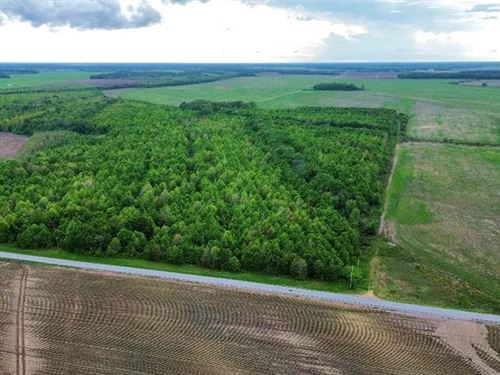 78 Acres in Coahoma County in Clark : Clarksdale : Coahoma County : Mississippi