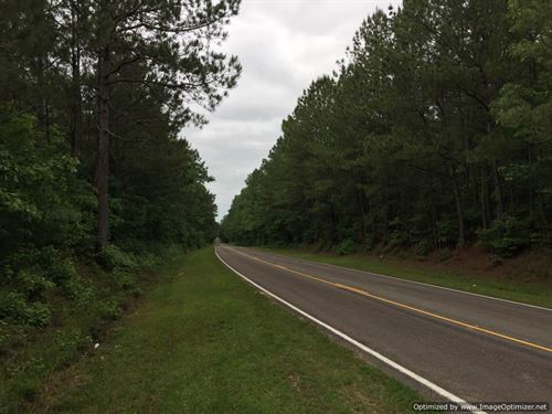 Perfect Hunting Tract : Ruth : Lincoln County : Mississippi