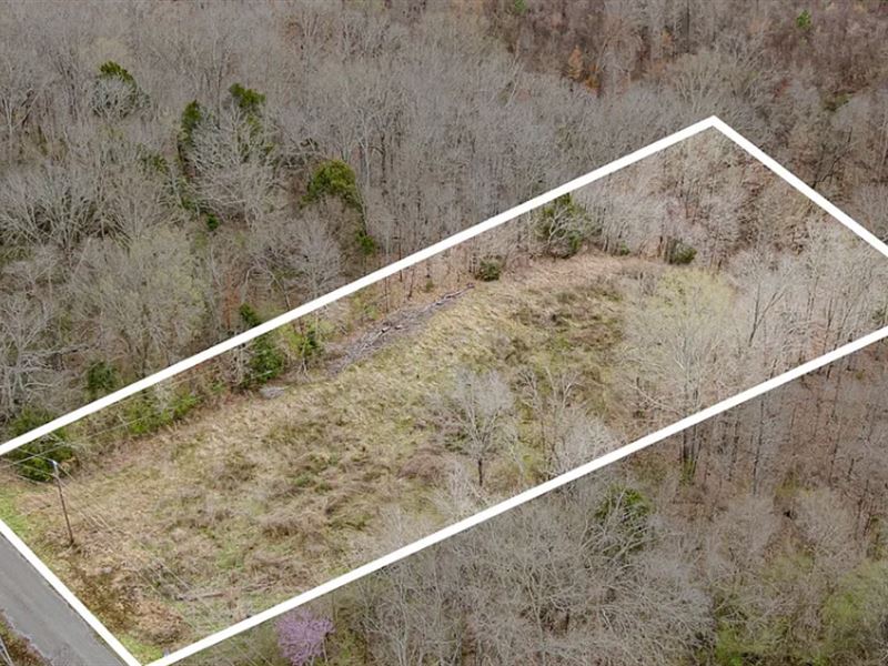 Affordable In-Town Acreage : Centerville : Hickman County : Tennessee