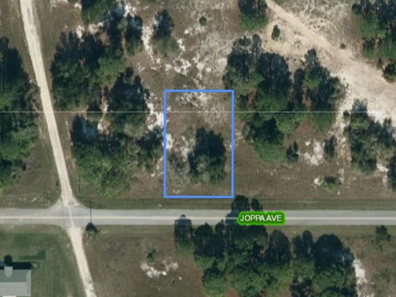 Beautiful Lake Placid Lot : Lake Placid : Highlands County : Florida