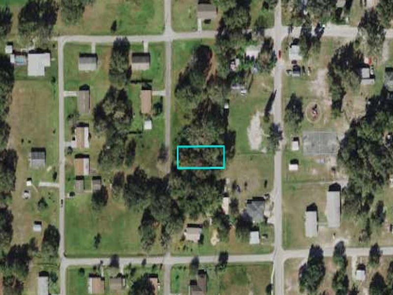 Bowling Green Residential Lot : Bowling Green : Hardee County : Florida