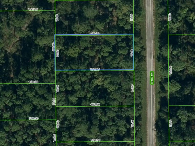 Quiet Lot Near Downtown Lake Placid : Lake Placid : Highlands County : Florida