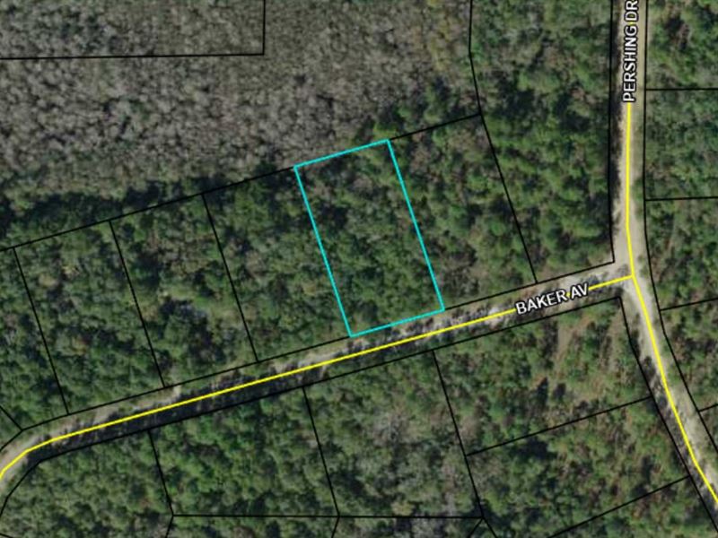 Quiet, Wooded Lot Near Lakes : Alford : Jackson County : Florida