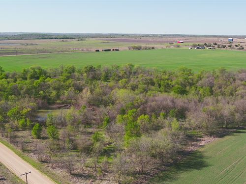 12 Acres in Milam County : Buckholts : Milam County : Texas