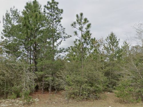 Your Quiet Neighborhood Awaits : Defuniak Springs : Walton County : Florida