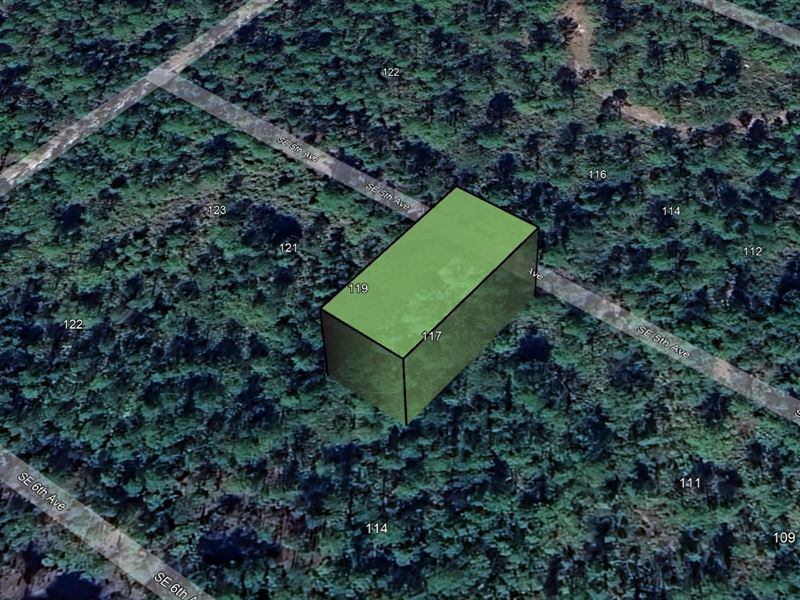 Land Jackpot Just $199 Down : Federal Point : Putnam County : Florida