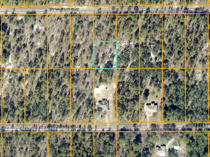 Half Acre, Full Privacy, $411/Mo : Dunnellon : Marion County : Florida