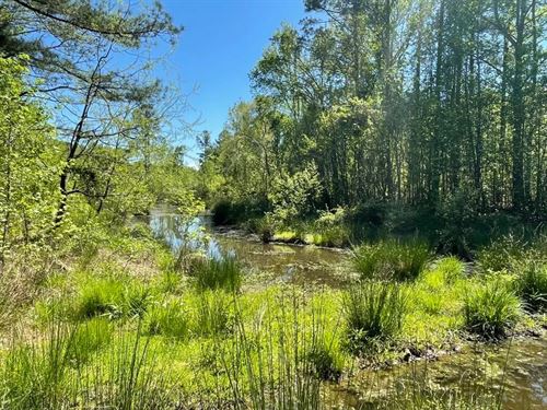 36.37 Acres on 440 Mt. Carmel : Abbeville : South Carolina
