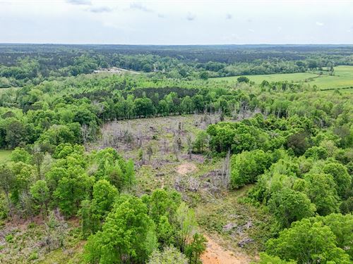 17 Acre Homesite And Pasture Po : Wadley : Chambers County : Alabama