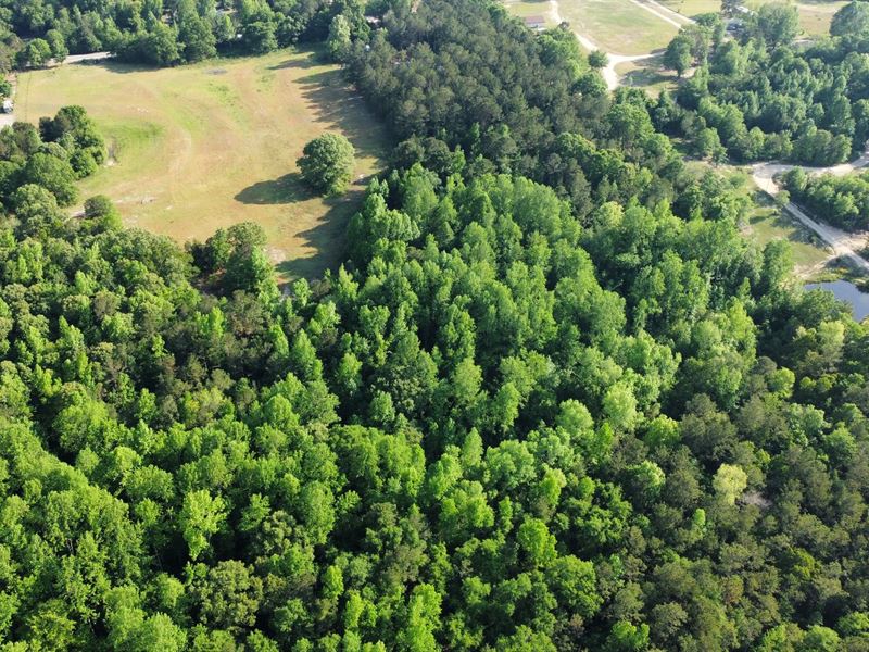 31 Acres Lee County, AL : Salem : Lee County : Alabama