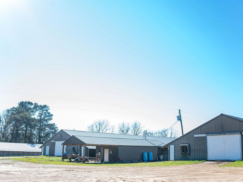 Poultry Farm for Sale in Dubach, LA : Dubach : Lincoln Parish : Louisiana