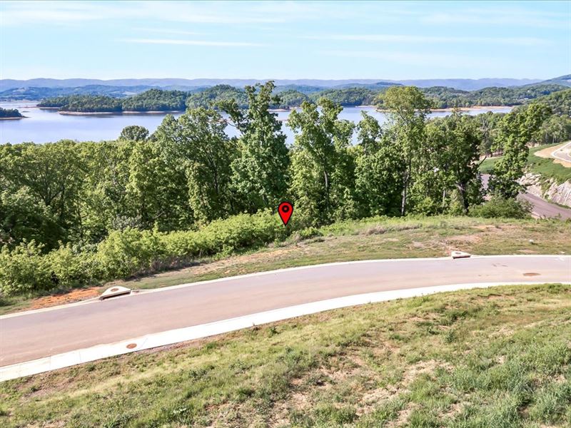 Premier Cherokee Lakefront Lot : Morristown : Hamblen County : Tennessee