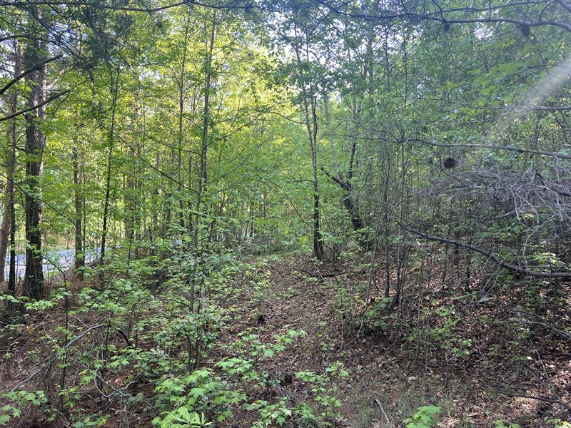 Broadway Lake Lot 7 : Anderson : Anderson County : South Carolina