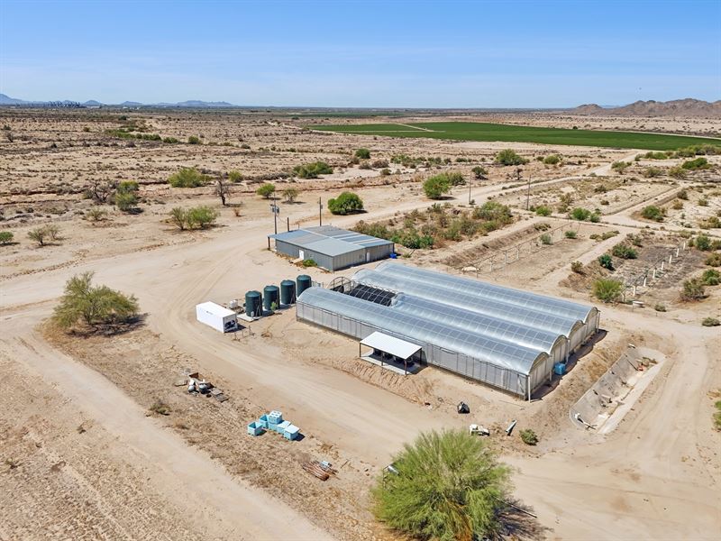 Gila Bend Commerical Greenhouse : Gila Bend : Maricopa County : Arizona