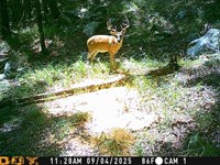 Dug Hill Road Home & Farm : Brownsboro : Madison County : Alabama