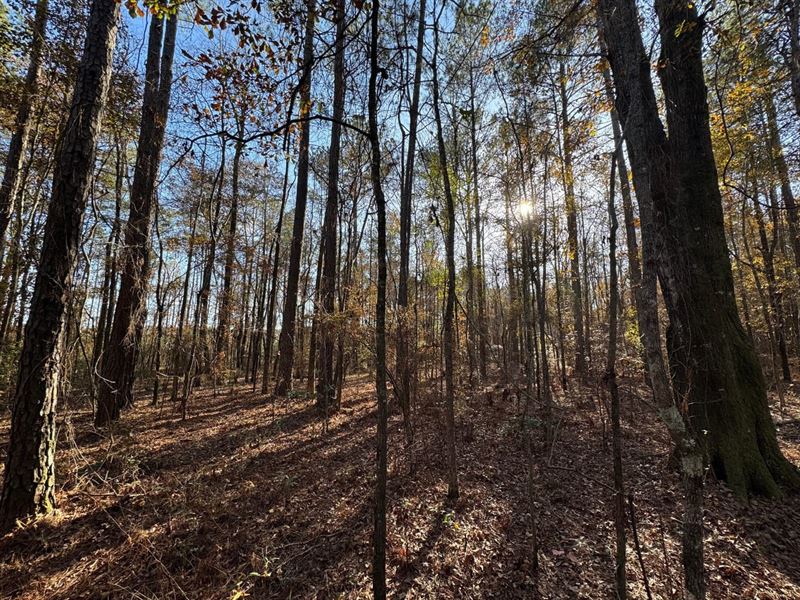 4 Acre Beautiful Homesite in Redlan : Wetumpka : Elmore County : Alabama