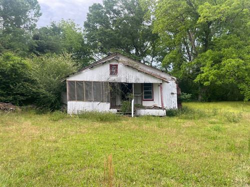 28.8 Acres Butler County AL : Georgiana : Butler County : Alabama