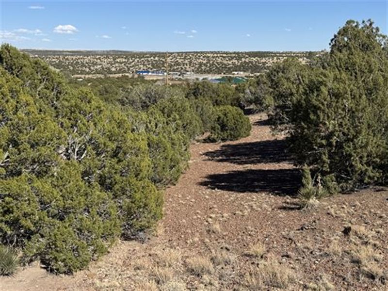 Build Atop Hill with Stunning Views : Concho : Apache County : Arizona