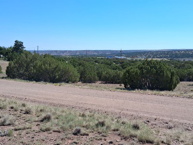 2.5 Acre Double Lot in Town : Concho : Apache County : Arizona
