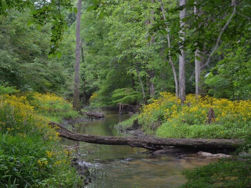 Tenmile Farm : Pineview : Pulaski County : Georgia