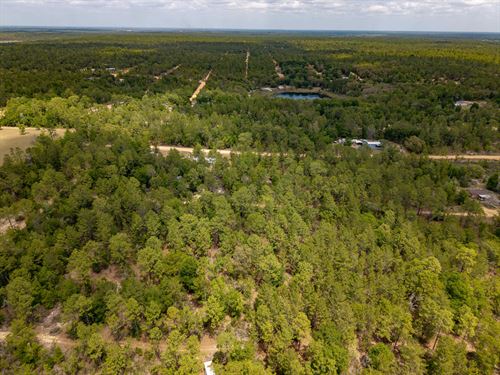 Florida Land, Potential : Interlachen : Putnam County : Florida