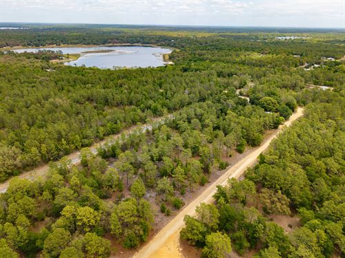 Florida Land for $10K : Interlachen : Putnam County : Florida