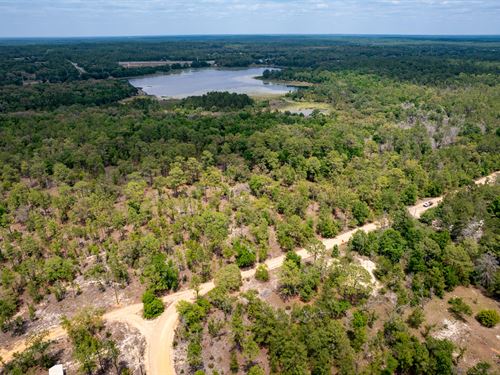 Vacant Land in Interlachen : Interlachen : Putnam County : Florida