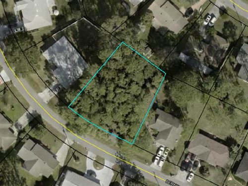 Big Wooded Neighborhood Lot : Palm Coast : Flagler County : Florida